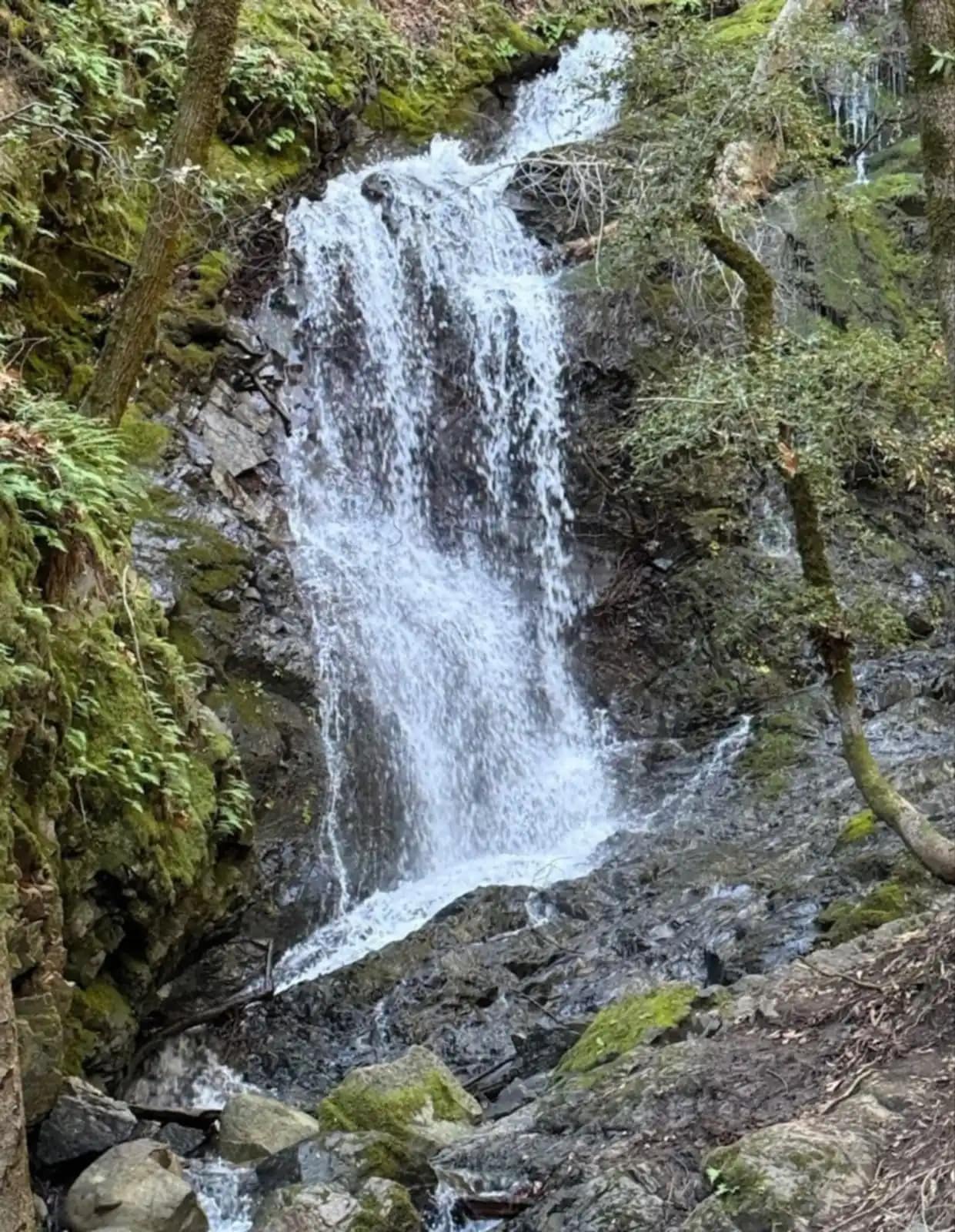 Cascada cayendo por la roca cubierta de musgo al final del sendero