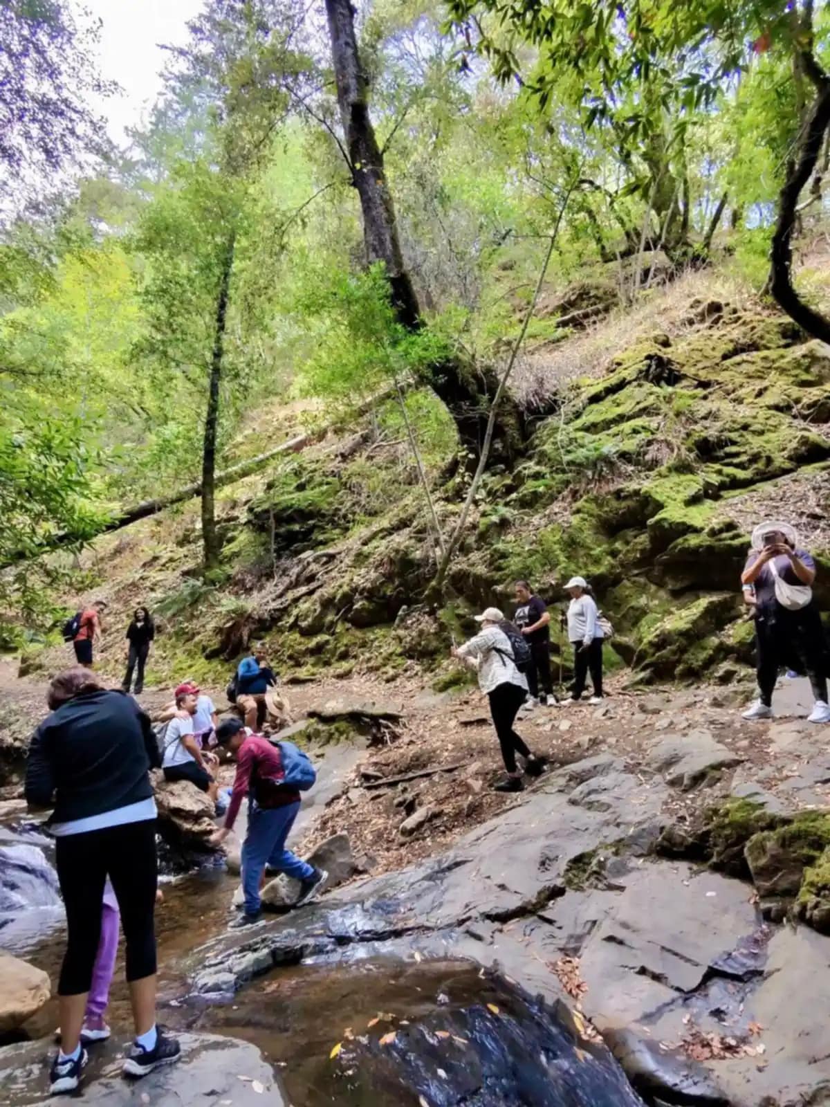 Varios del grupo cruzan el arroyo saltando entre las rocas mojadas del cauce